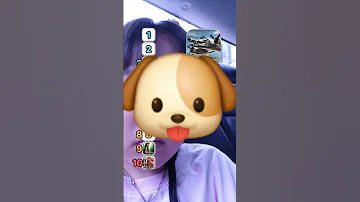 이탈리아브레이놋 