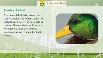 Knowledge Tree Books E.V.S Class 4 Chapter 8