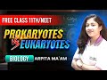 Prokaryotes Vs Eukaryotes|Biology|NEET-11th|Assamese Explanation|Arpita Ma'am #sharpy