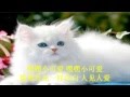 邓丽君 嘿嘿小可爱 邓丽君 嘿嘿小可爱