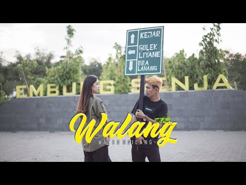 Video Walang