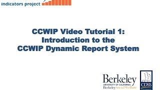 Celebrity CCWIP Video Tutorial 1 - Basic Navigation Profile