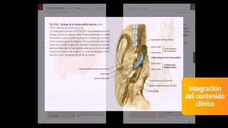 Sobotta. Atlas de Anatomía Humana screenshot 3