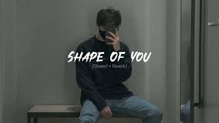 Shape Of You - Ed Sheeran (slowed+reverb)