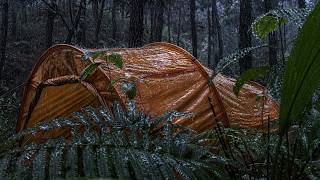 I Was Surrounded by Heavy Rain & Thunder ⛈️ Relaxing Camping in Heavy Rain screenshot 5