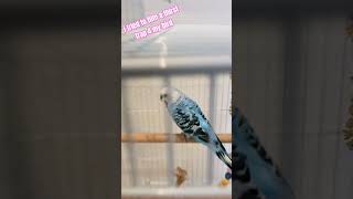 Famous #fail thirst trap hahahaha Wealth