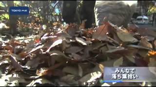 みんなで落ち葉拾い