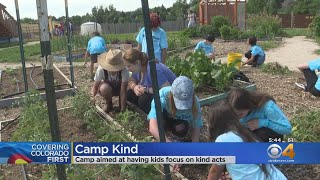 Camp Kind: Kids Find Joy And Purpose While Volunteering