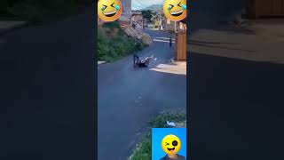 Crazy Epic Fails 😂 | Ep. 32 #funny  #funny #fails  #funnyvideos