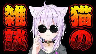 はい､猫の雑談です