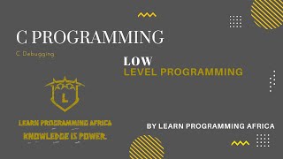 Celebrity C -Debugging Net Worth