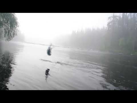 Жемчужина Карелии. Часть третья. Кумжа.