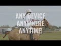 Global Polo - Premier Destination for Polo!