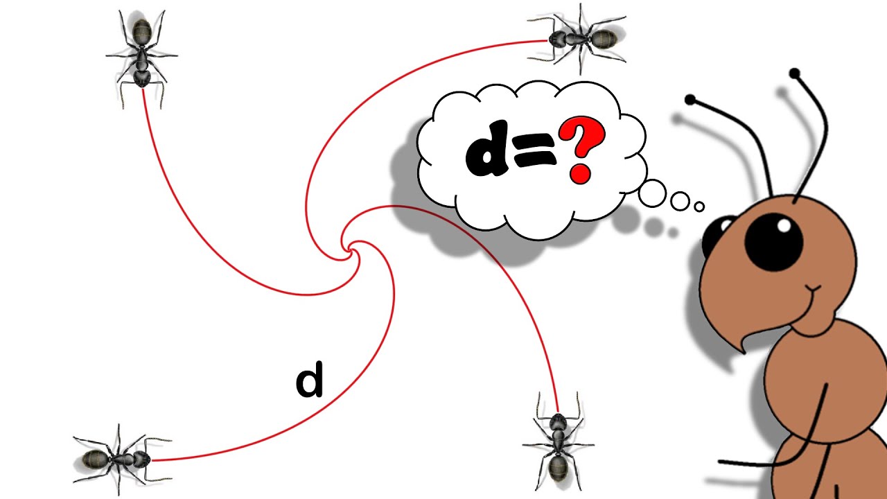The Four Ants: A Calculus Problem