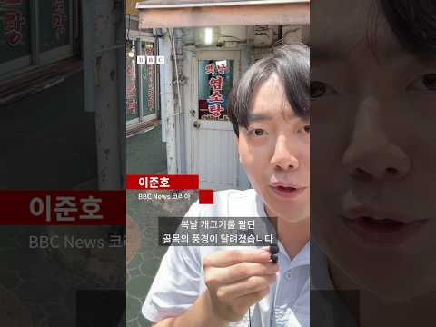 개고기 팔던 식당들 어떻게 됐을까? #bbc #bbc코리아 thumbnail