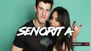 Shawn Mendes Camila Cabello   Seorita  hq