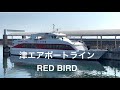 【1隻ダイヤ】高速船カトレア代替船「RED BIRD」が運航中