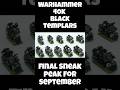 Warhammer 40k Black Templars Final Sneak Peak Painted Miniatures