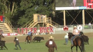 Wild Cow Milking, Pendleton Round-Up 2014