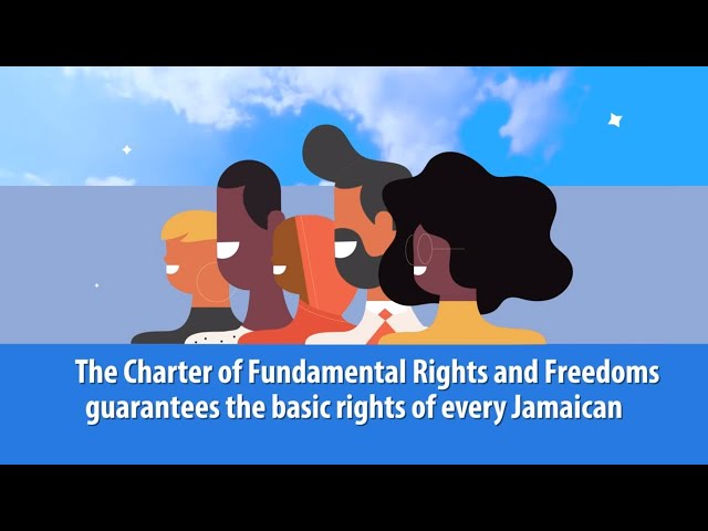 What is the Charter of Fundamental Rights and Freedoms?