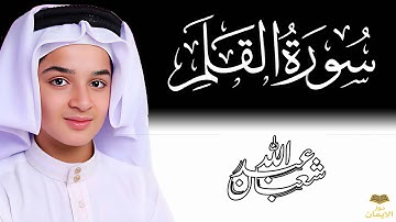 🔥 سورة القلم تلاوة مؤثرة جداً | عبدالله أحمد شعبان | تلاوة تبكي القلوب
