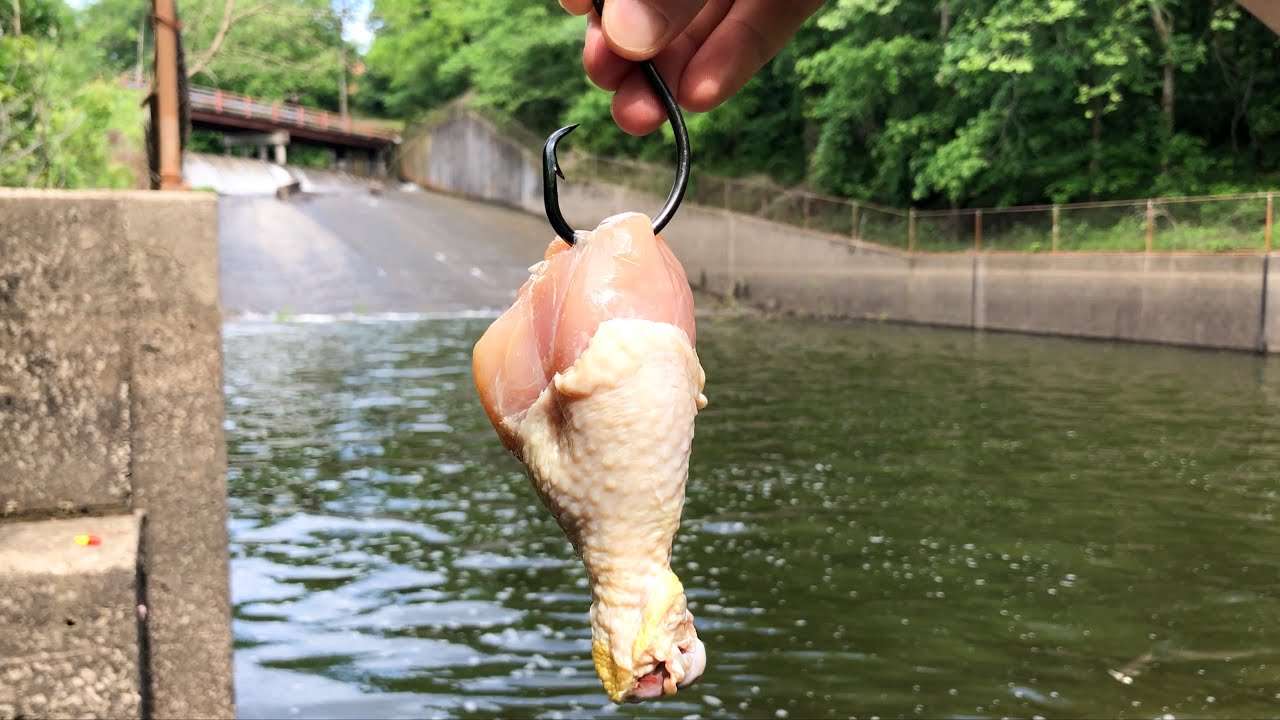 best cast net for river fishing We Tested the Best Cast Nets for Everything from Menhaden to Glass Minnows