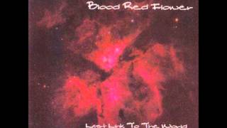 BLOOD RED FLOWER - "LOVE & HATE"