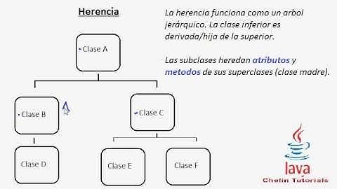 Tutorial Programacion Java 29 : Herencia
