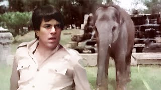 Mohammed Rafi Old Hindi Song Nachunga Gaunga Dharmendra, Hema Malini