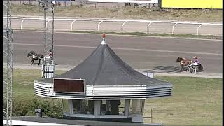 LOPP 7-Ponnytrav-2020-08-09