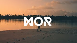M Knowledge - Walk