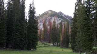 Idaho BDR with Heather and Wolfman Luggage