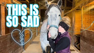 Update On Belle’s Heartbreaking Diagnosis-Equine Shivers by Free Spirit Equestrian 125,635 views 2 months ago 29 minutes