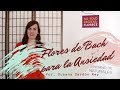 🌼Flores de Bach para la Ansiedad🌼