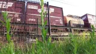 EF210-138号機[岡]牽引5091レ 東静岡駅～草薙駅間通過