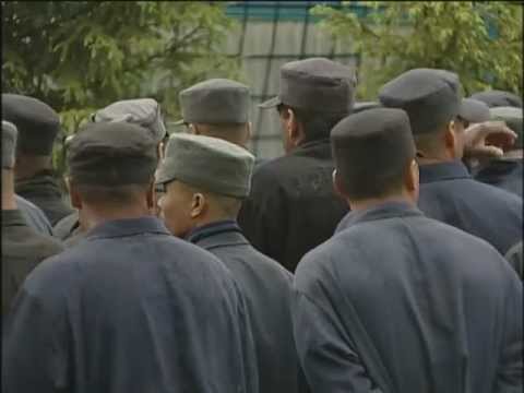 За решеткой Иностранцы в России За решеткой Иностранцы в России