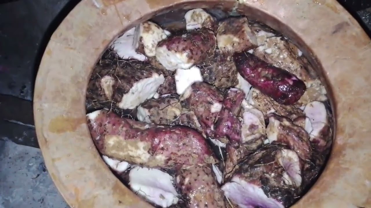 (माघेसंक्रान्ति कोभाग एक तयारी को लागि तरुल खनेर बोएल गरेर प्रसाद को रुपमा पायो माग्ने लाई दिइदै)