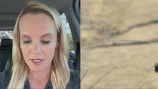 Body of missing hiker found in Lakeside
