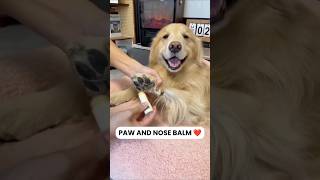 Pet Paw Balm