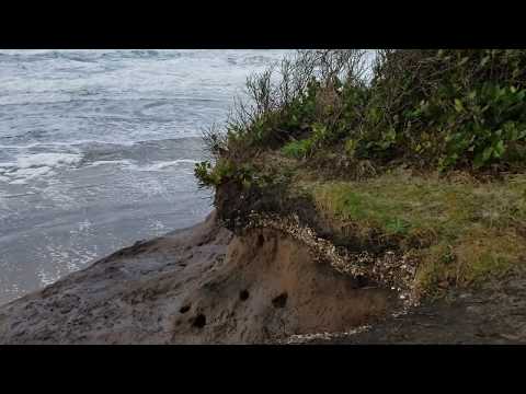 Shell midden at the Oregon Coast - Native American history