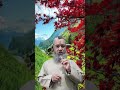 Interpretation of seeing the month of Ramadan in a dream mp3