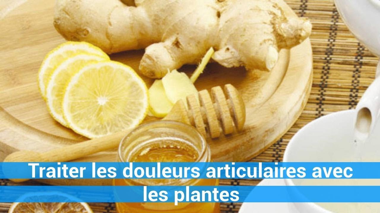 Traiter les douleurs articulaires avec les plantesremede naturel — free download