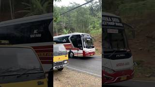 Aneka jaya sousshhh jalur Pacitan-Surabaya #shorts