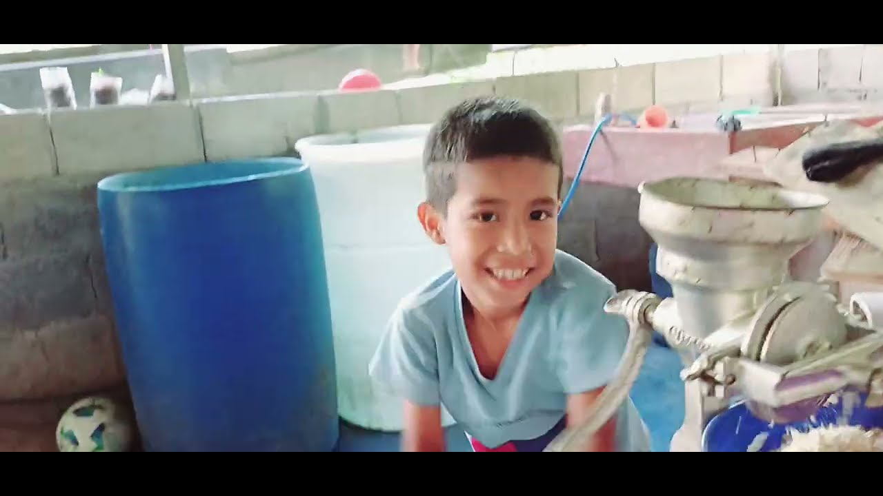 Однажды утром Хосуэ молоет кукурузу для цыплят; он делает это с большим удовольствием. ❤️