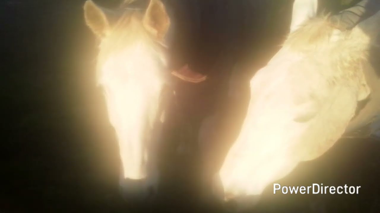 Rose-Line Mount King Lot-hian - Twixt the Oak and the Elm Tree you'll find buried the millions free