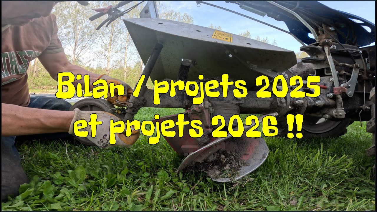 Bilan / projets 2025 | Aperçu des projets 2026