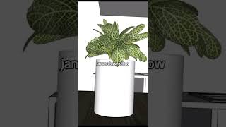 Tutorial Sketchup buat pemula hingga mahir #sketchup #arsitektur #sketchuptutorial #tutorial