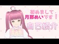 【自己紹介】初めまして!月那めいです☆【新人Vtuber】