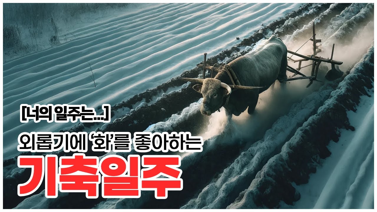 [너의 일주는] 외롭기에 불을 좋아하는 기축일주