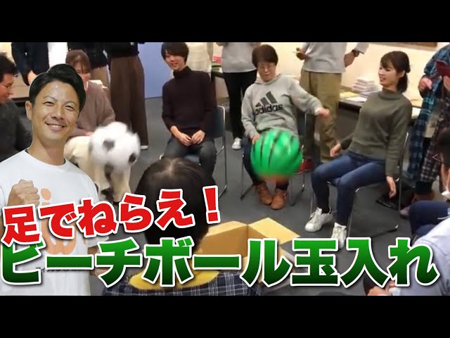 ビーチボールサッカー玉入れ